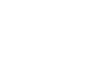 The Paradise Logo